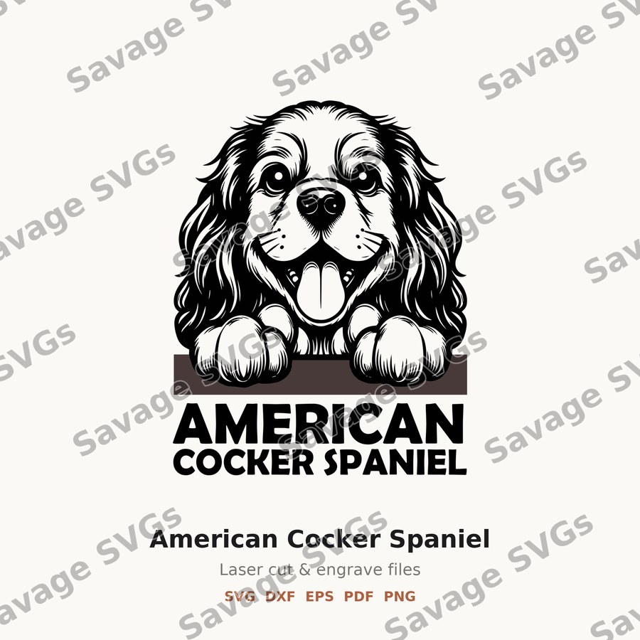 American Cocker Spaniel