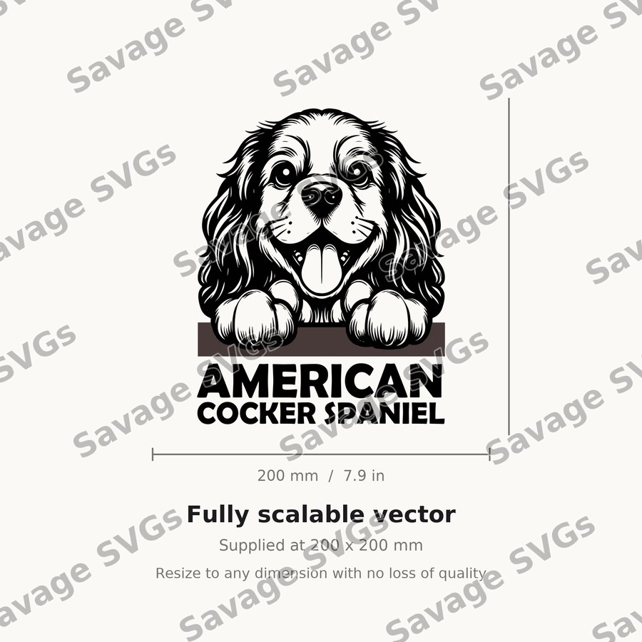 American Cocker Spaniel