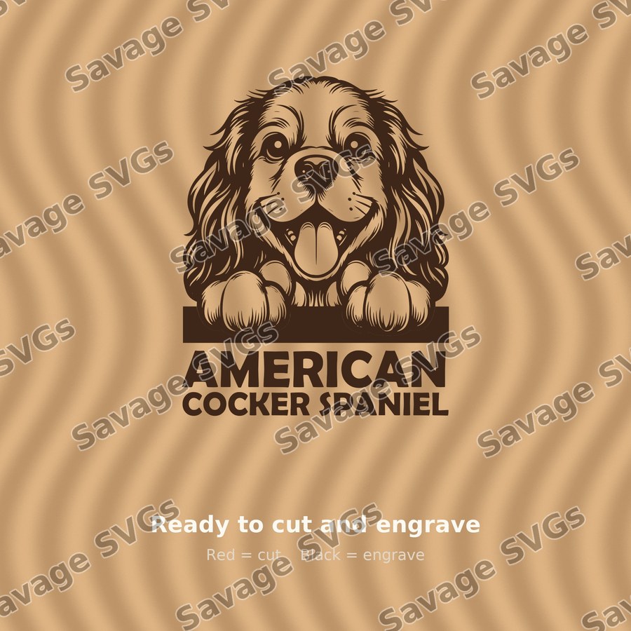 American Cocker Spaniel