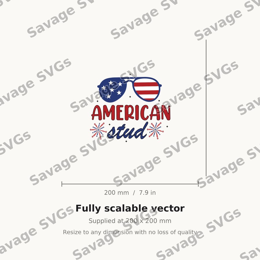 American Stud Sunglasses