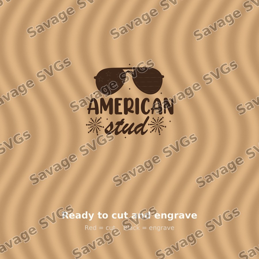 American Stud Sunglasses