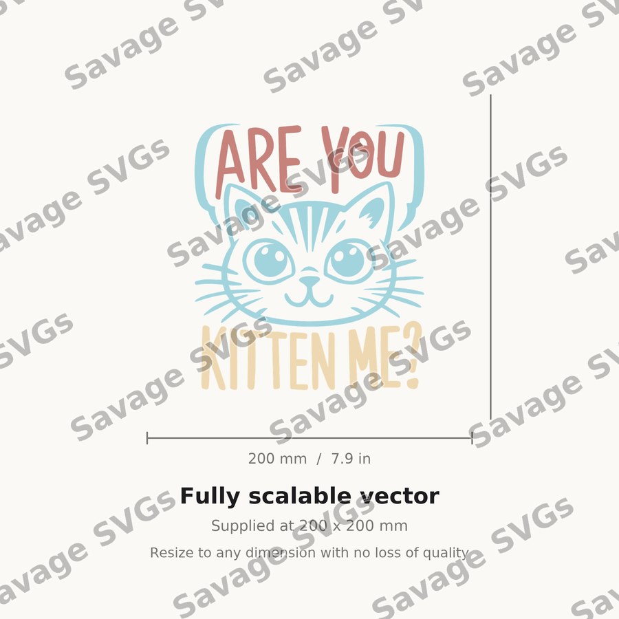 Are You Kitten Me