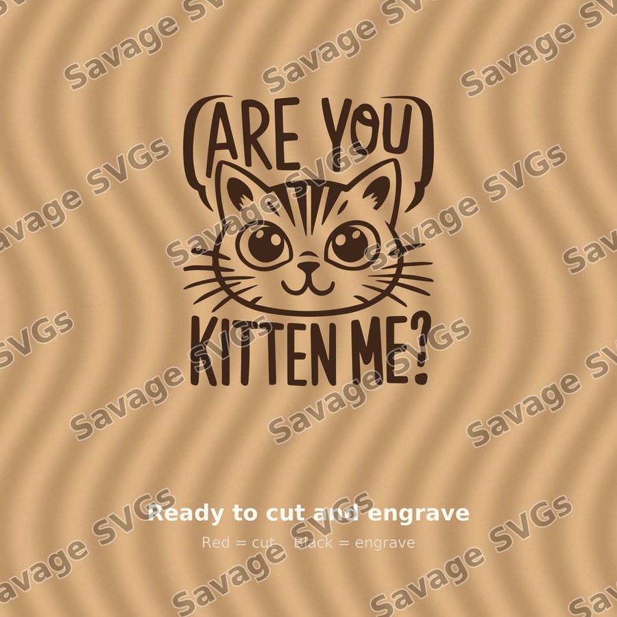 Are You Kitten Me
