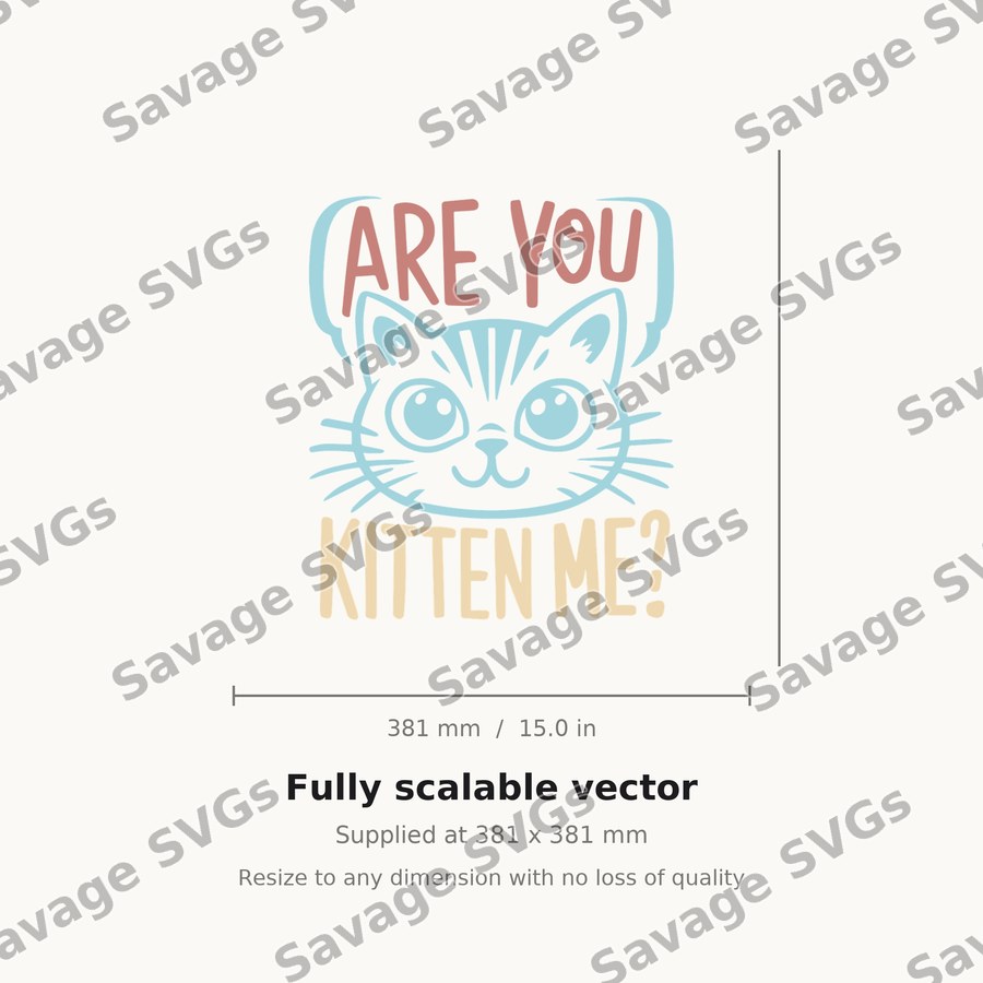 Are You Kitten Me