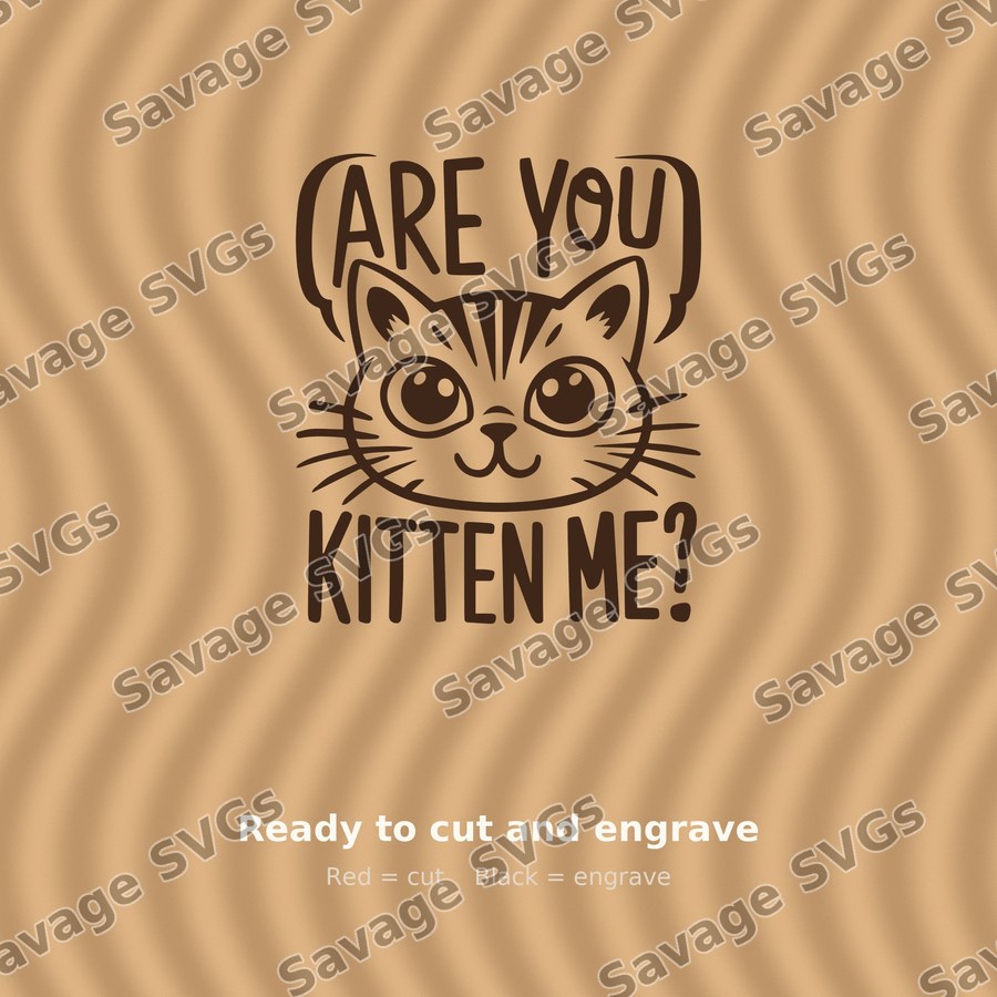 Are You Kitten Me