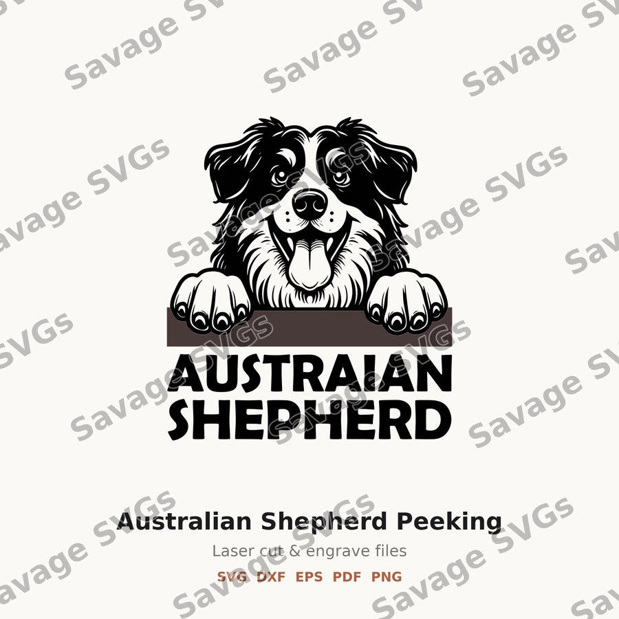 Australian Shepherd Peeking
