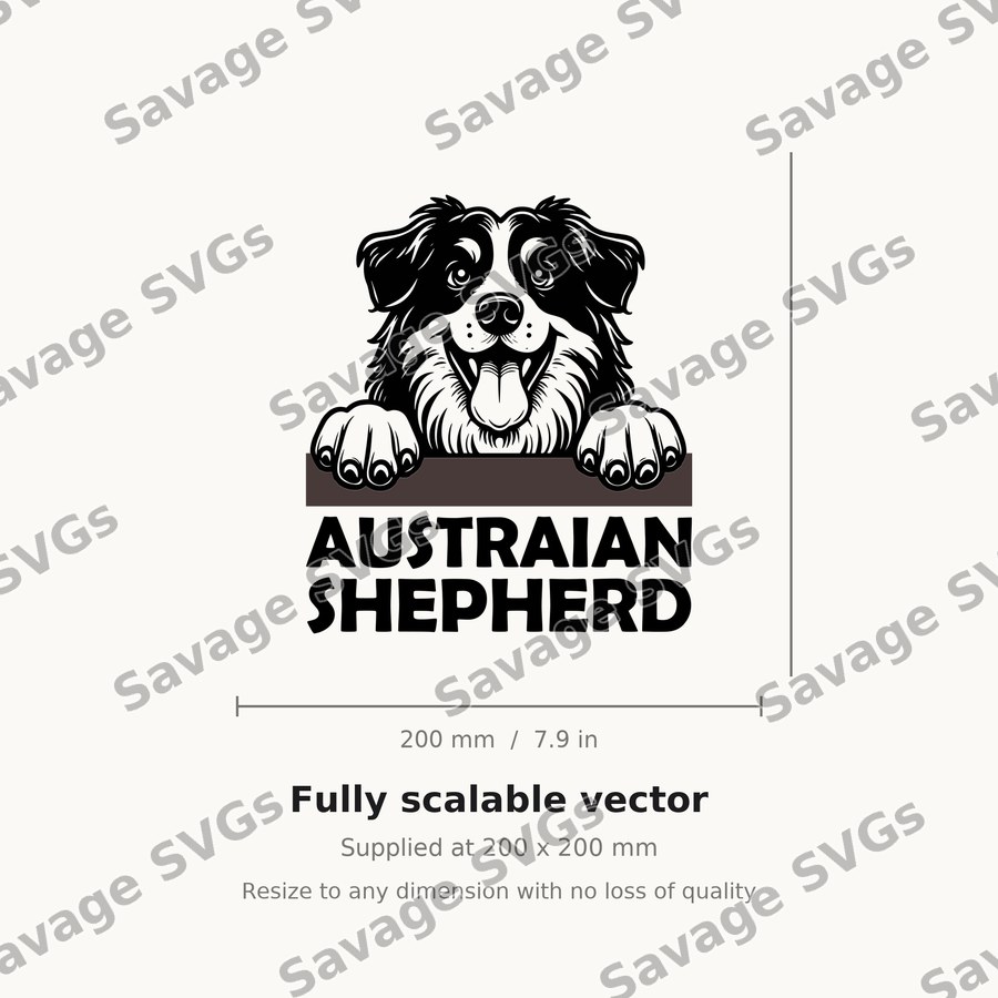Australian Shepherd Peeking