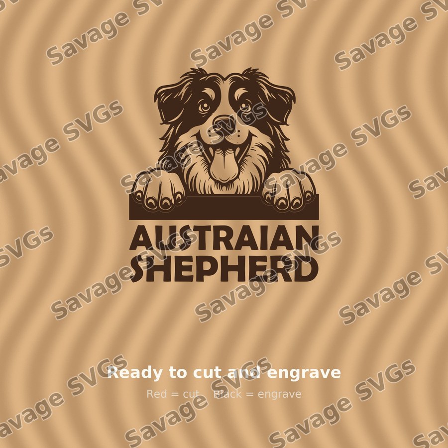 Australian Shepherd Peeking