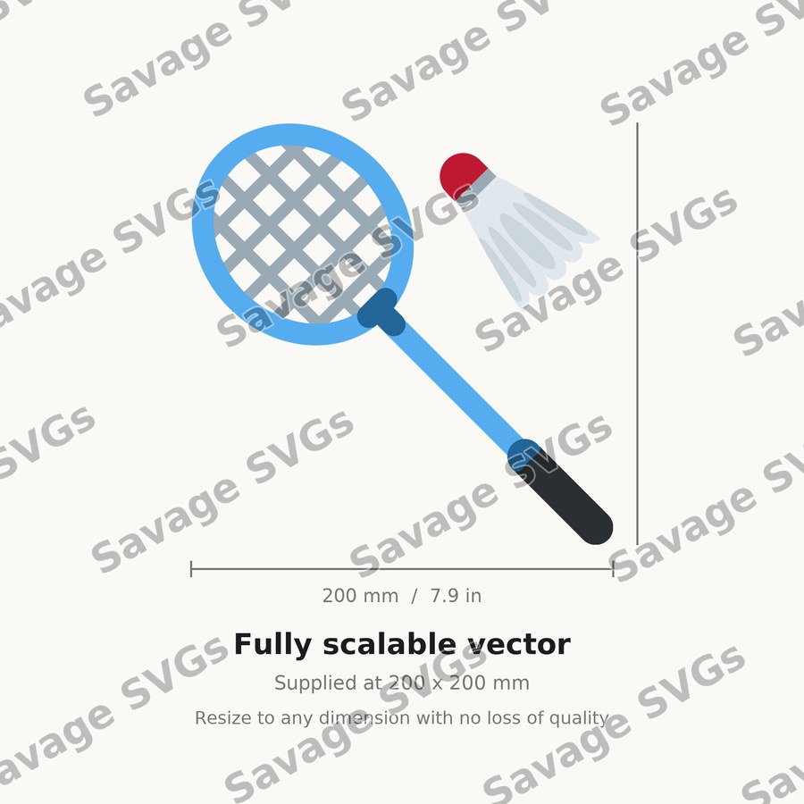 Badminton Racket And Shuttlecock