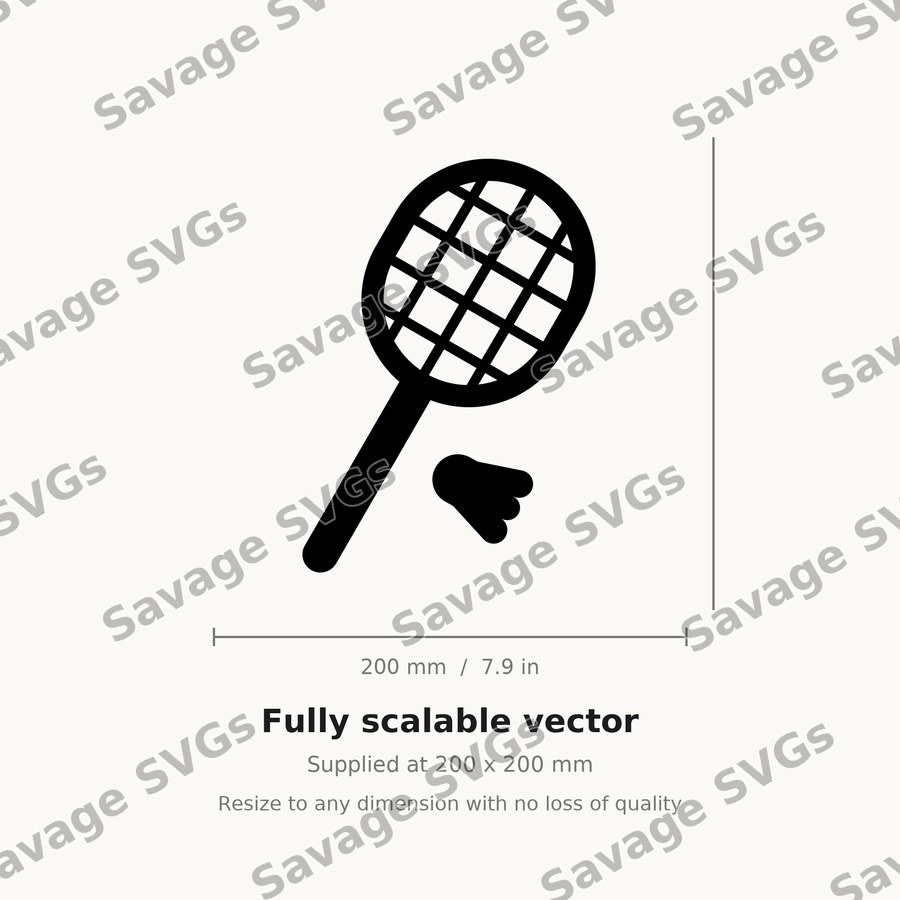 Badminton Racket And Shuttlecock