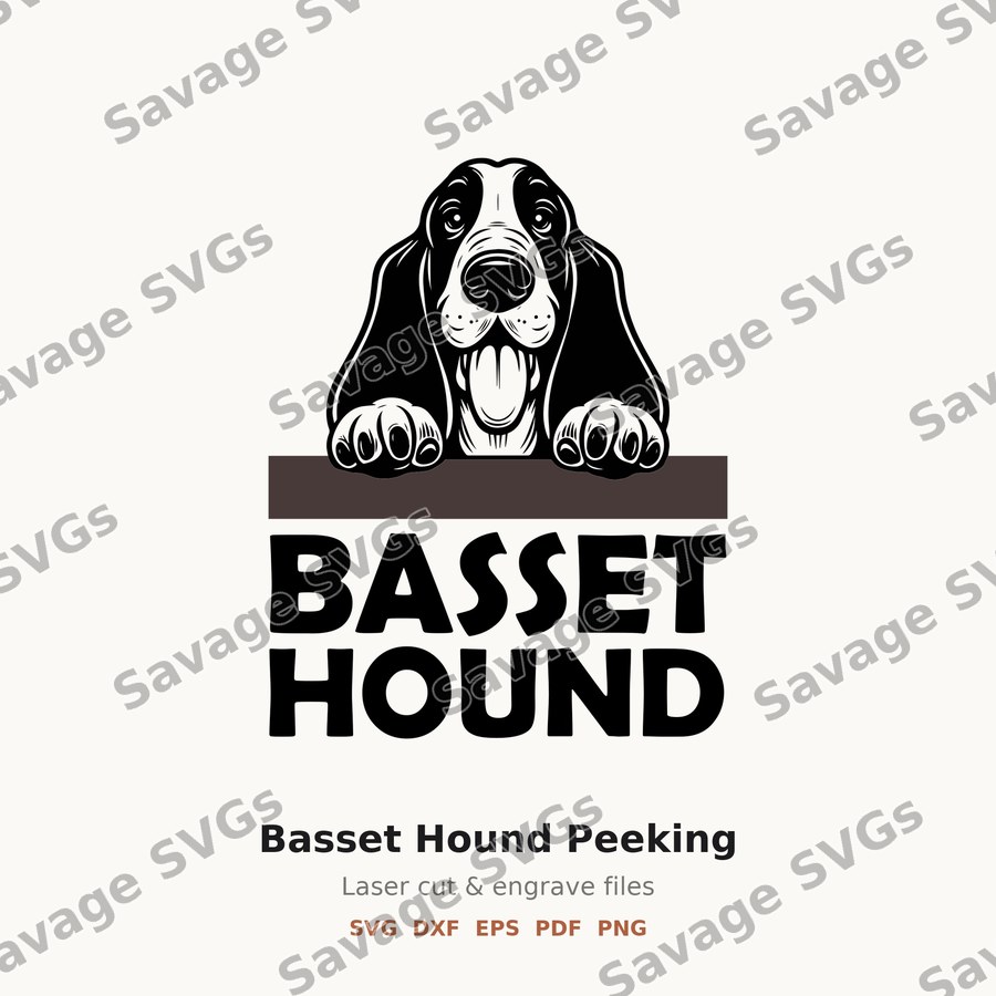 Basset Hound Peeking