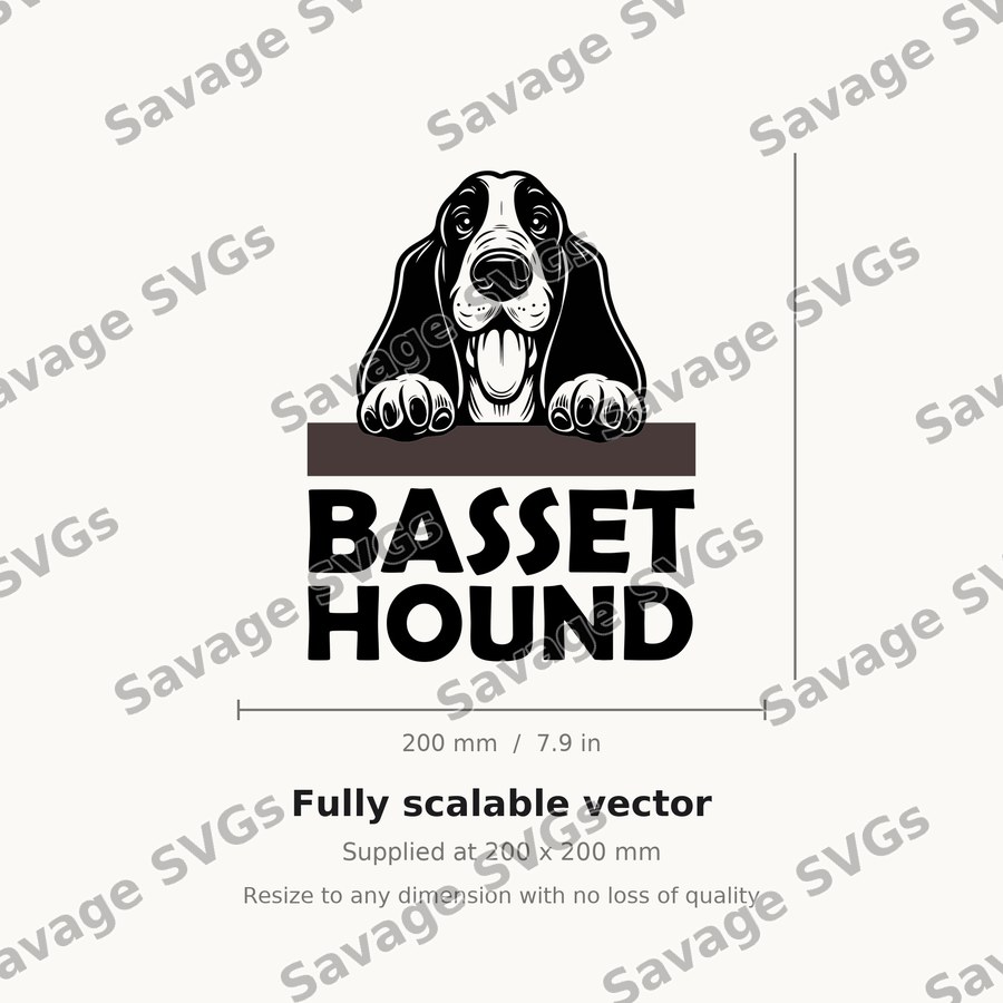 Basset Hound Peeking