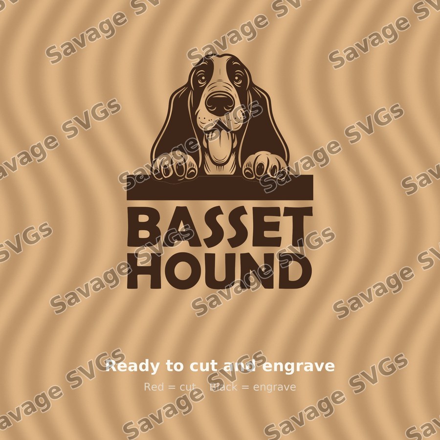 Basset Hound Peeking