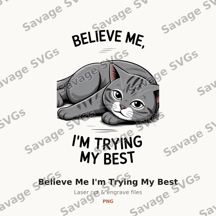 Believe Me I'm Trying My Best