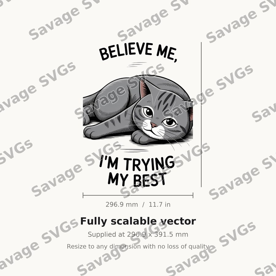 Believe Me I'm Trying My Best