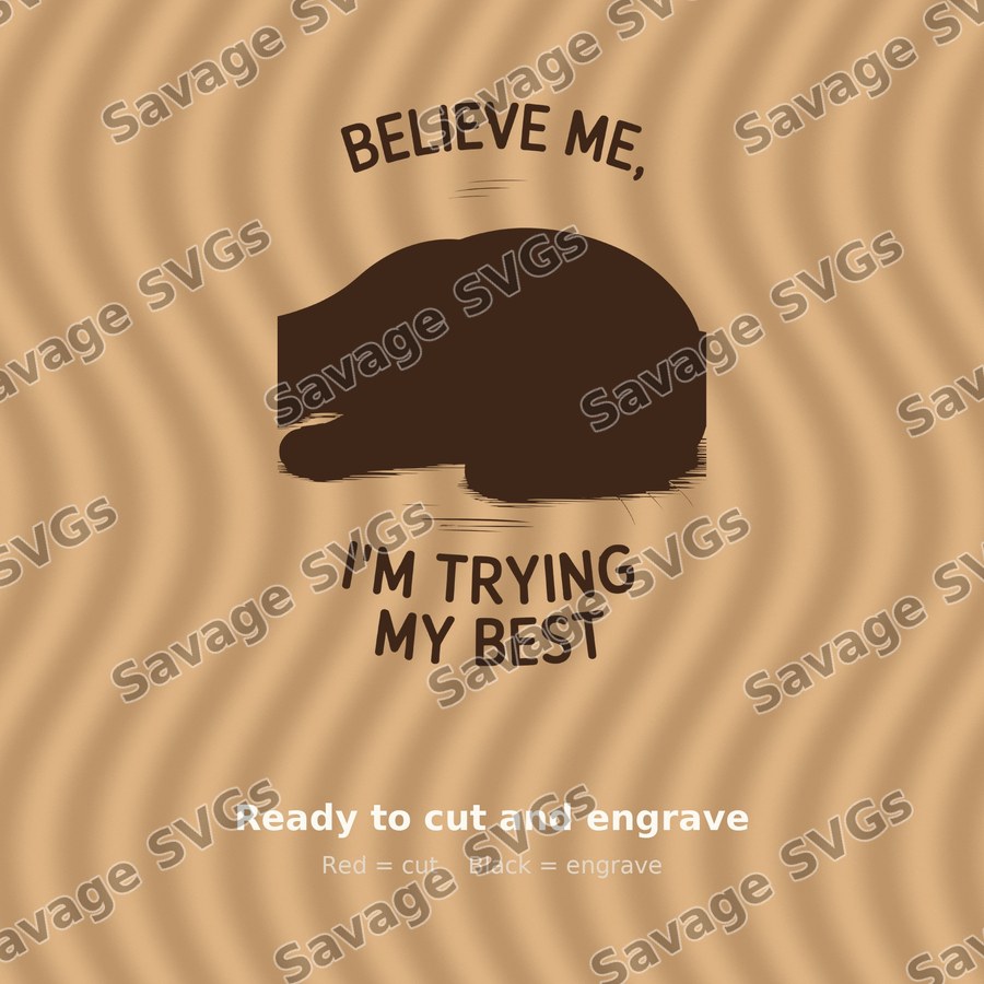 Believe Me I'm Trying My Best