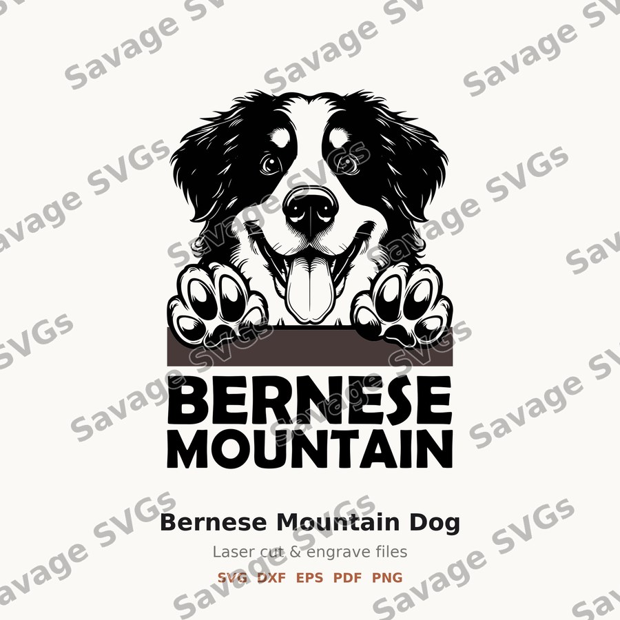 Bernese Mountain Dog