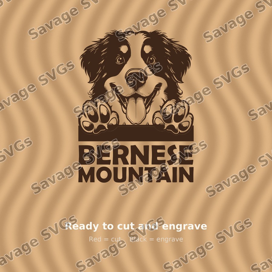 Bernese Mountain Dog