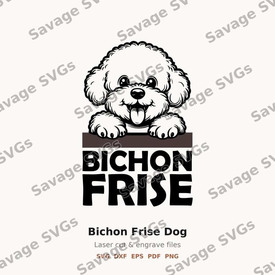 Bichon Frise Dog
