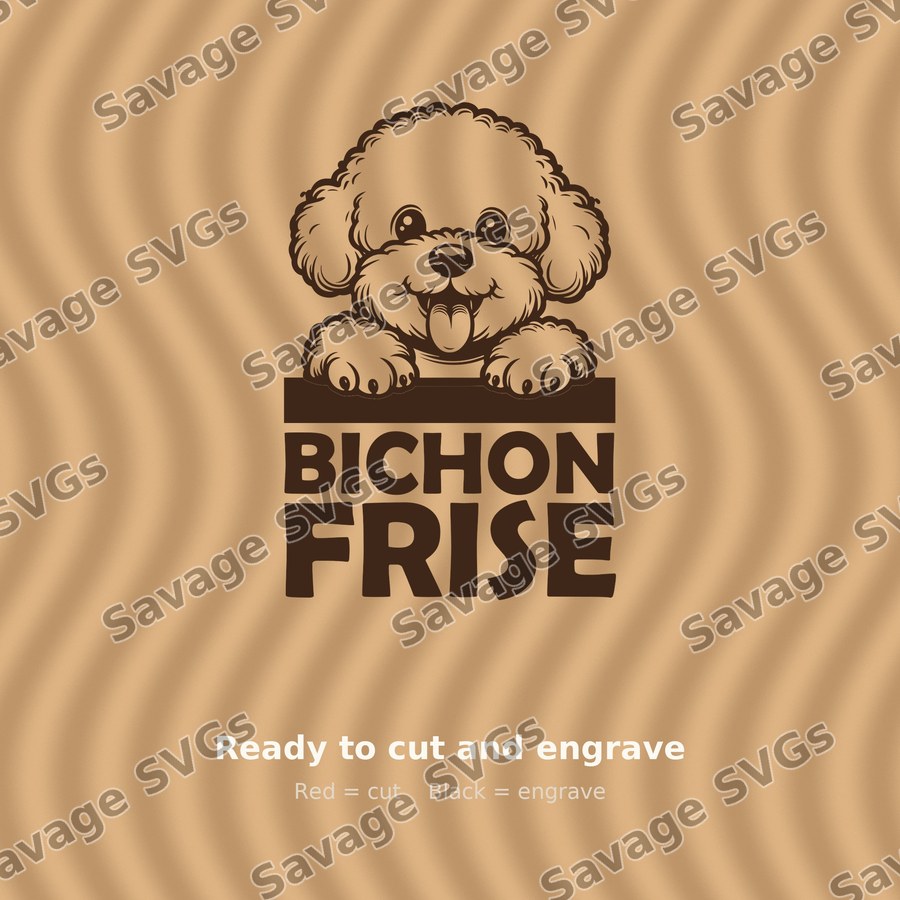 Bichon Frise Dog