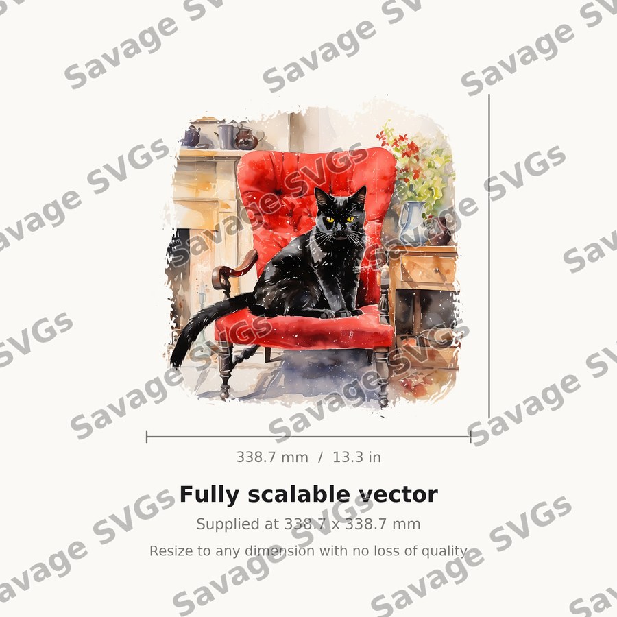 Black Cat On Armchair