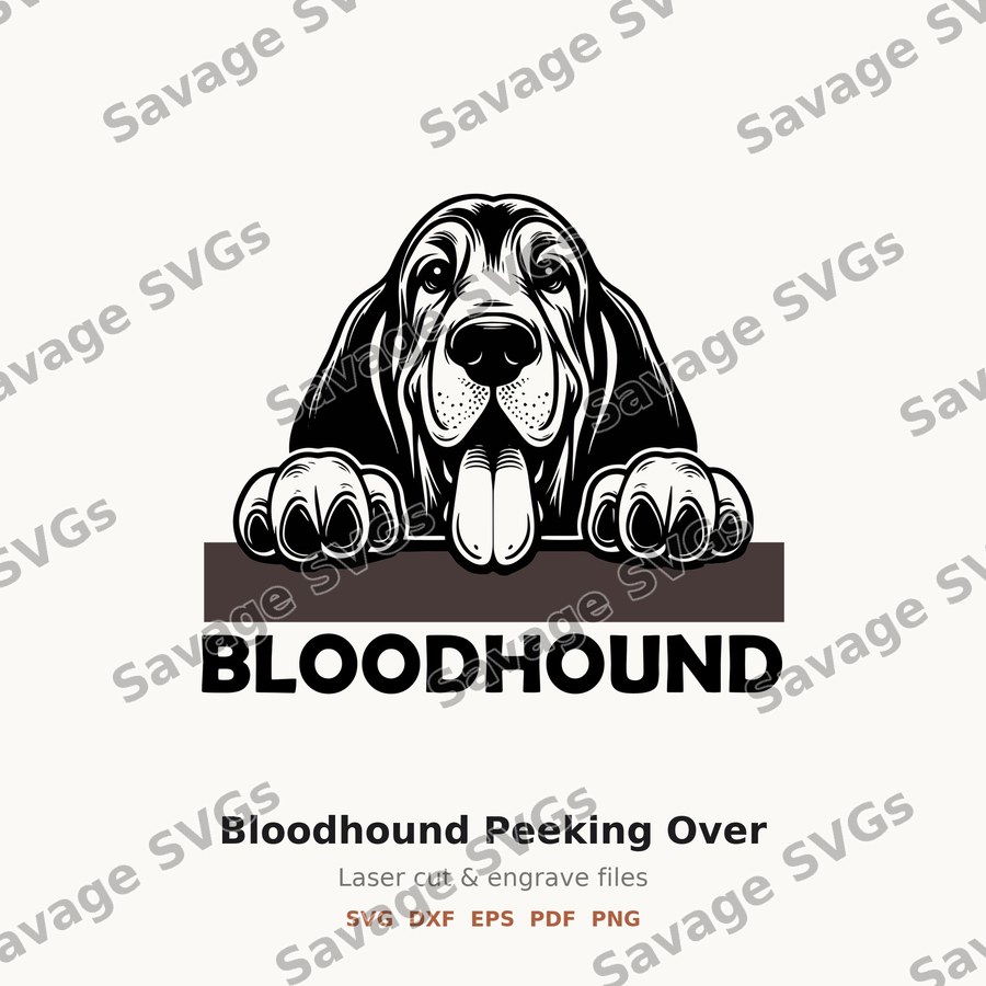 Bloodhound Peeking Over