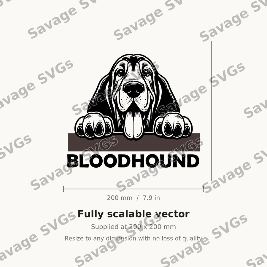 Bloodhound Peeking Over