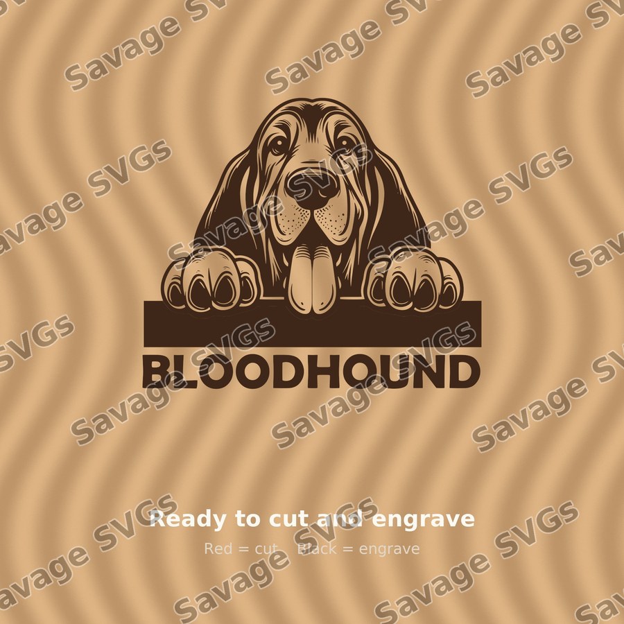 Bloodhound Peeking Over