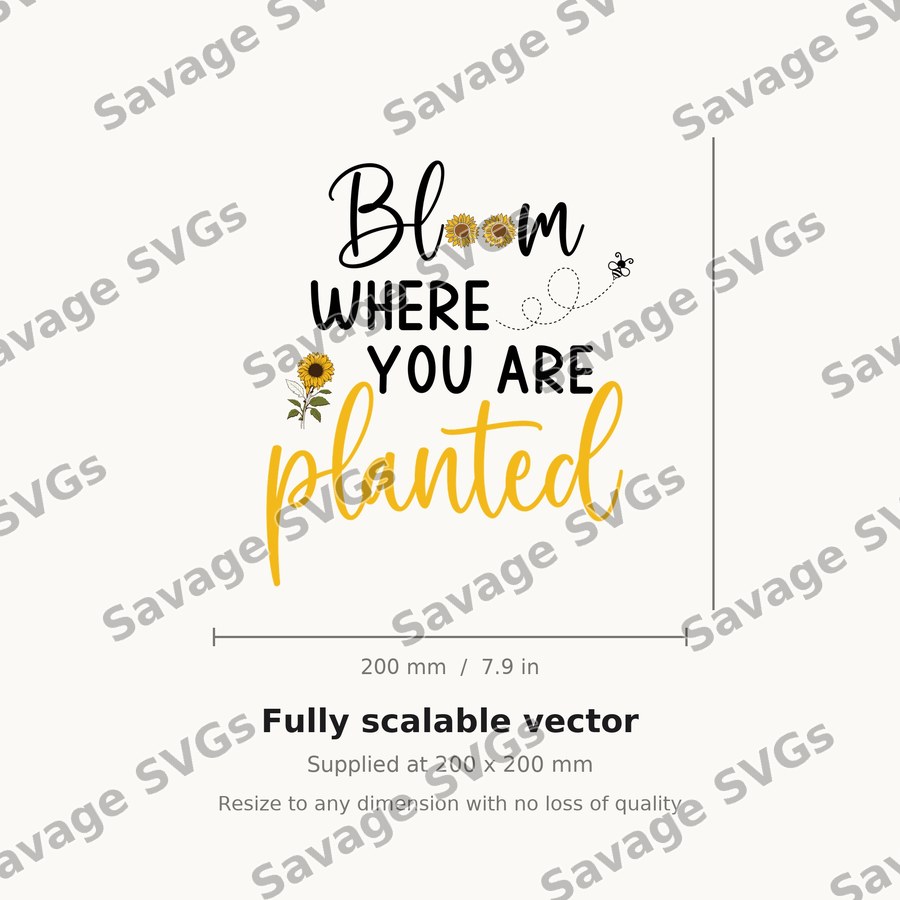 Bloom Where U Are Planted 01