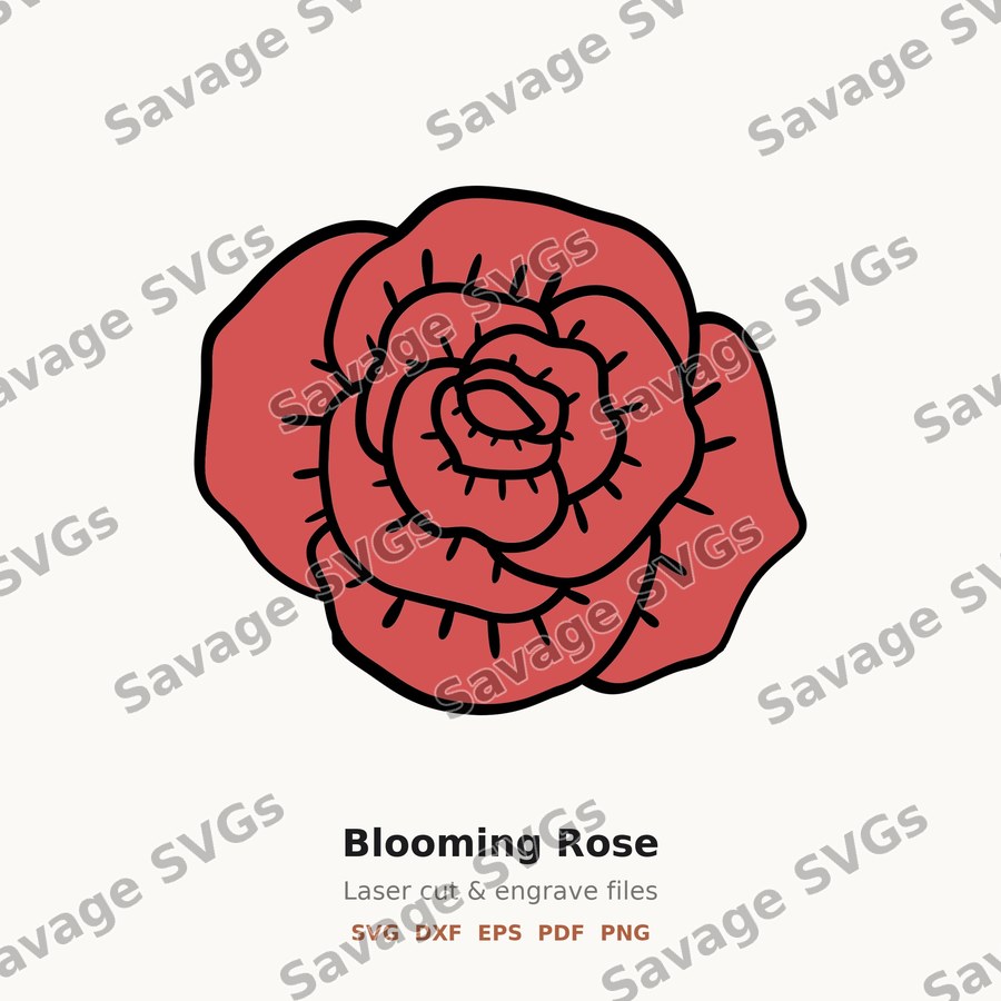 Blooming Rose