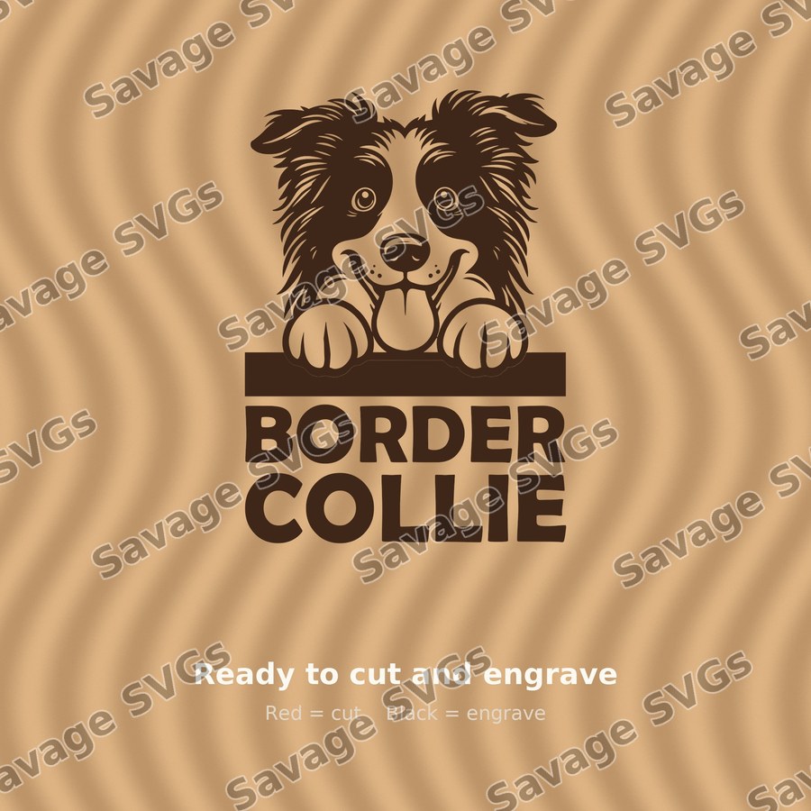 Border Collie Peeking