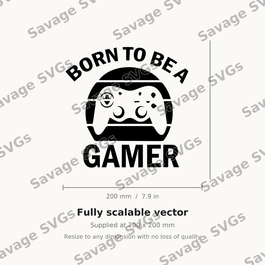 Born To Be A Gamer