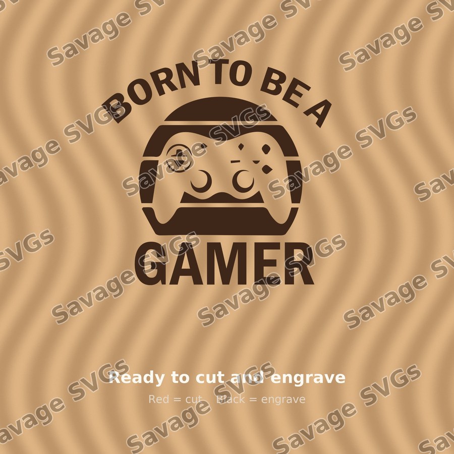 Born To Be A Gamer
