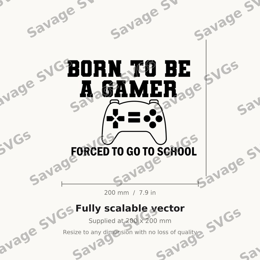 Born To Be A Gamer