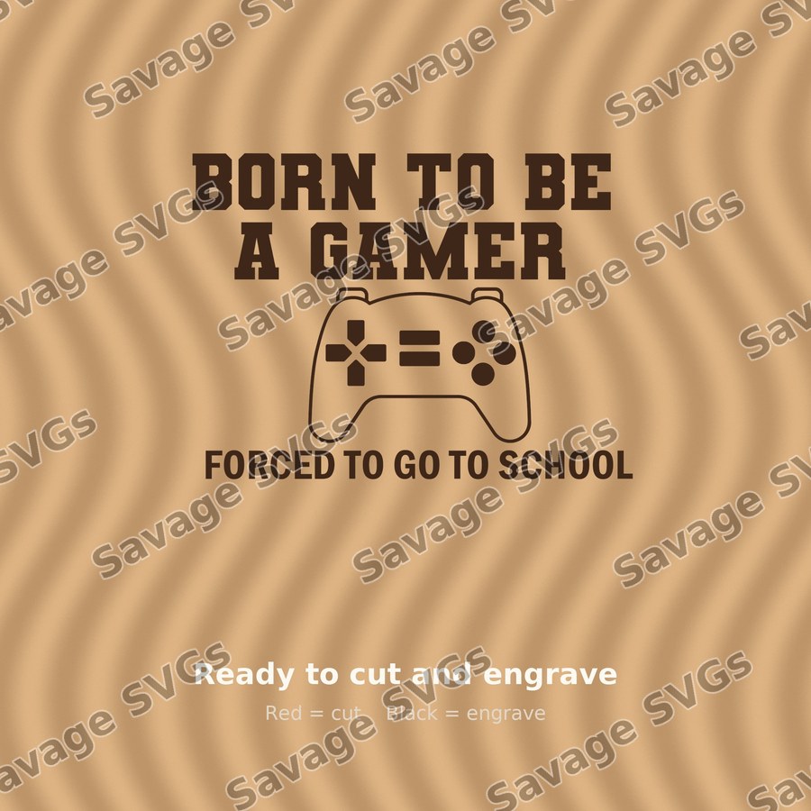 Born To Be A Gamer