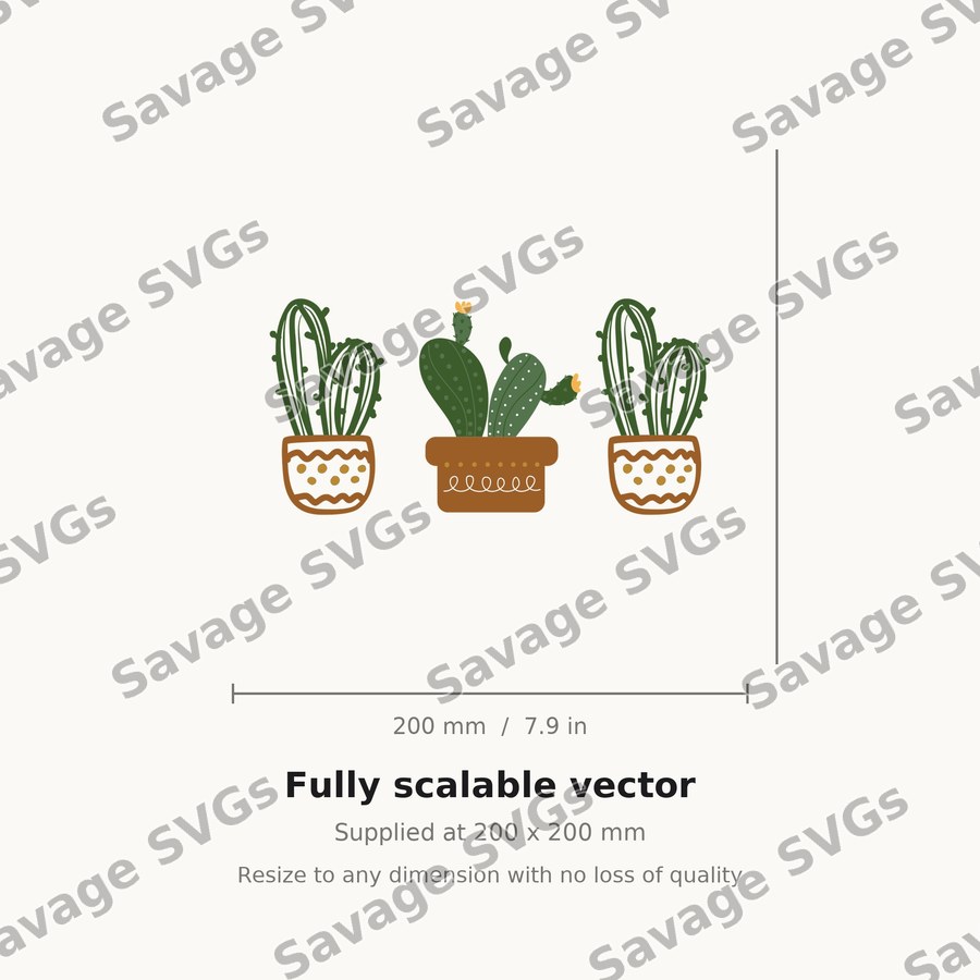 Cactus 1 01