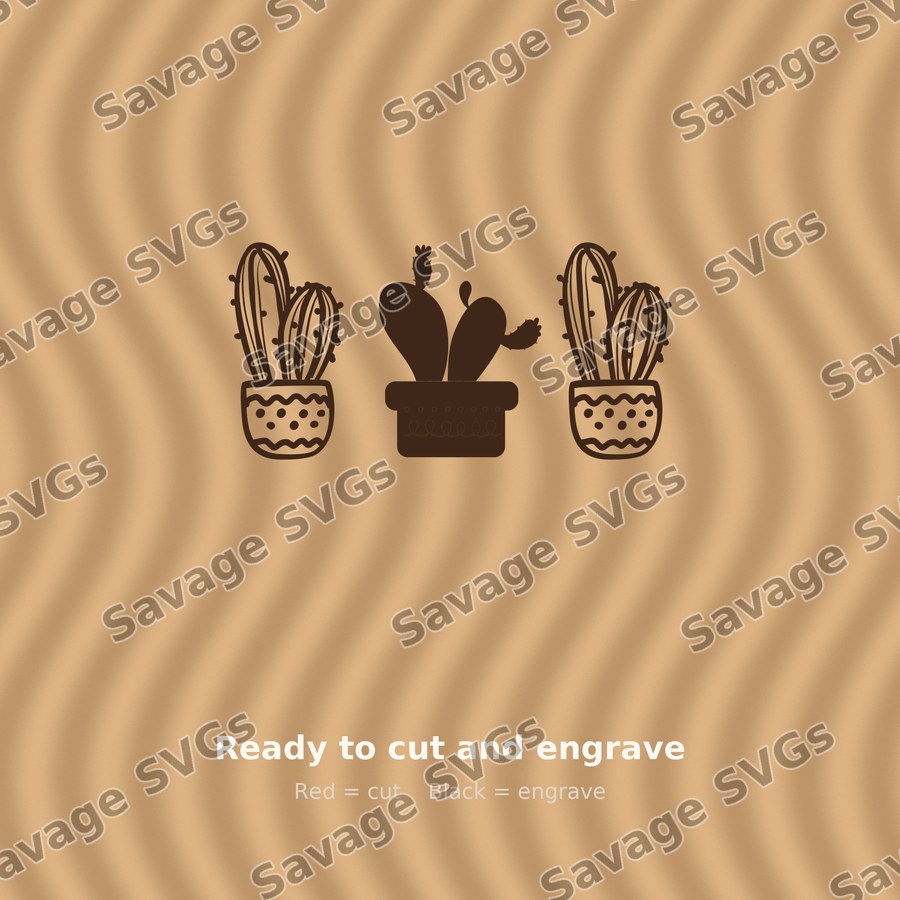 Cactus 1 01