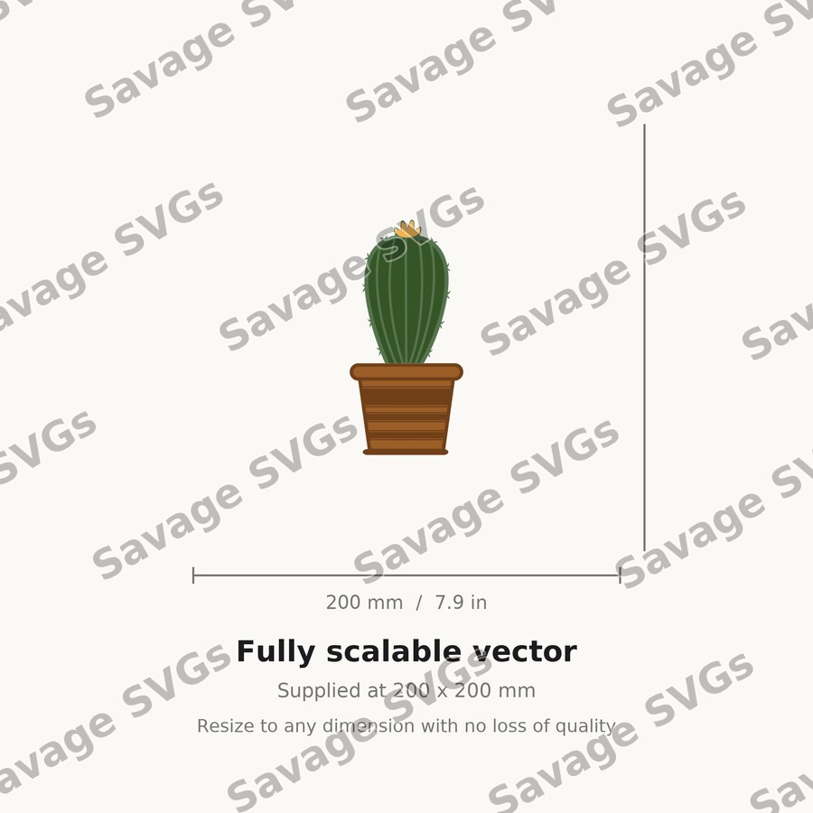 Cactus 5 01