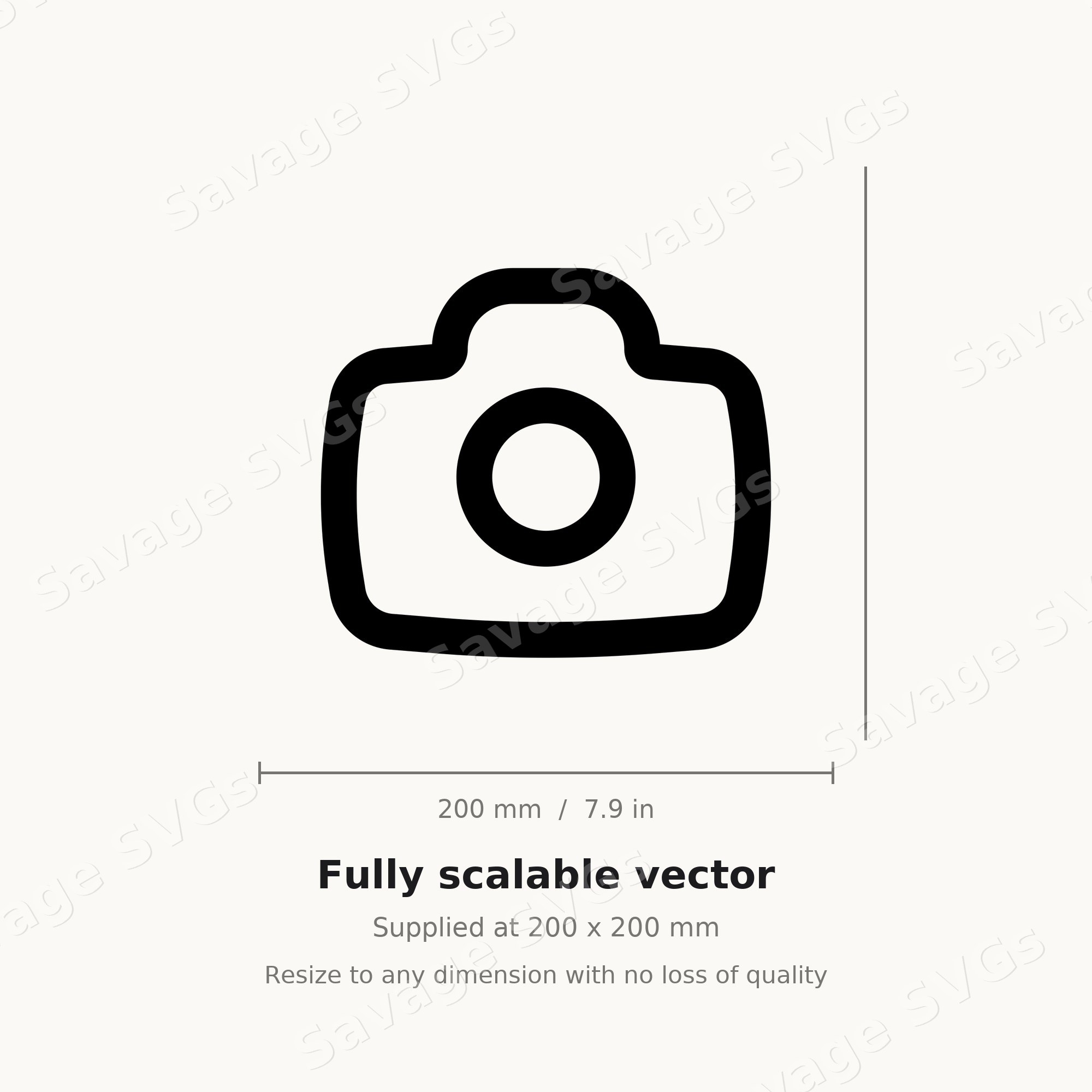 Camera Icon