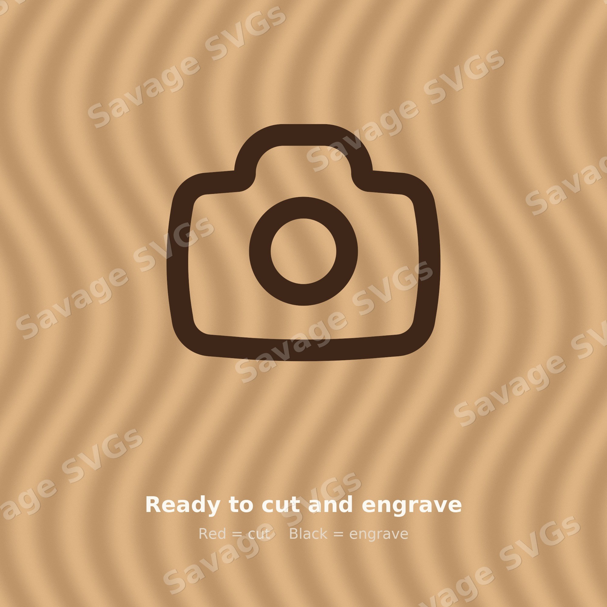 Camera Icon