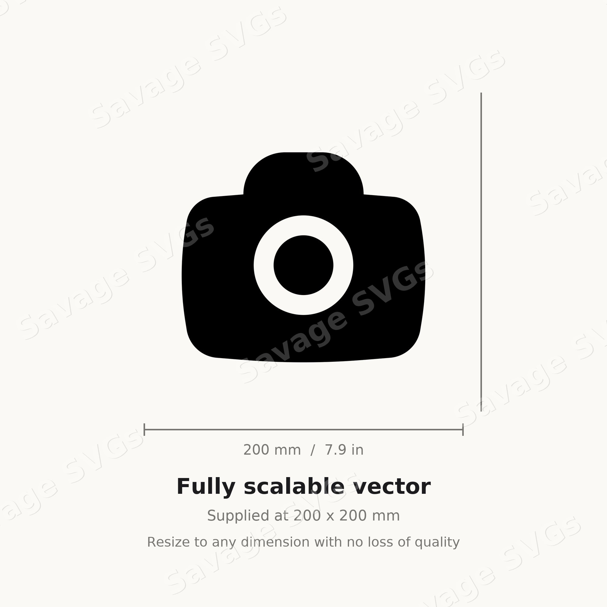Camera Icon