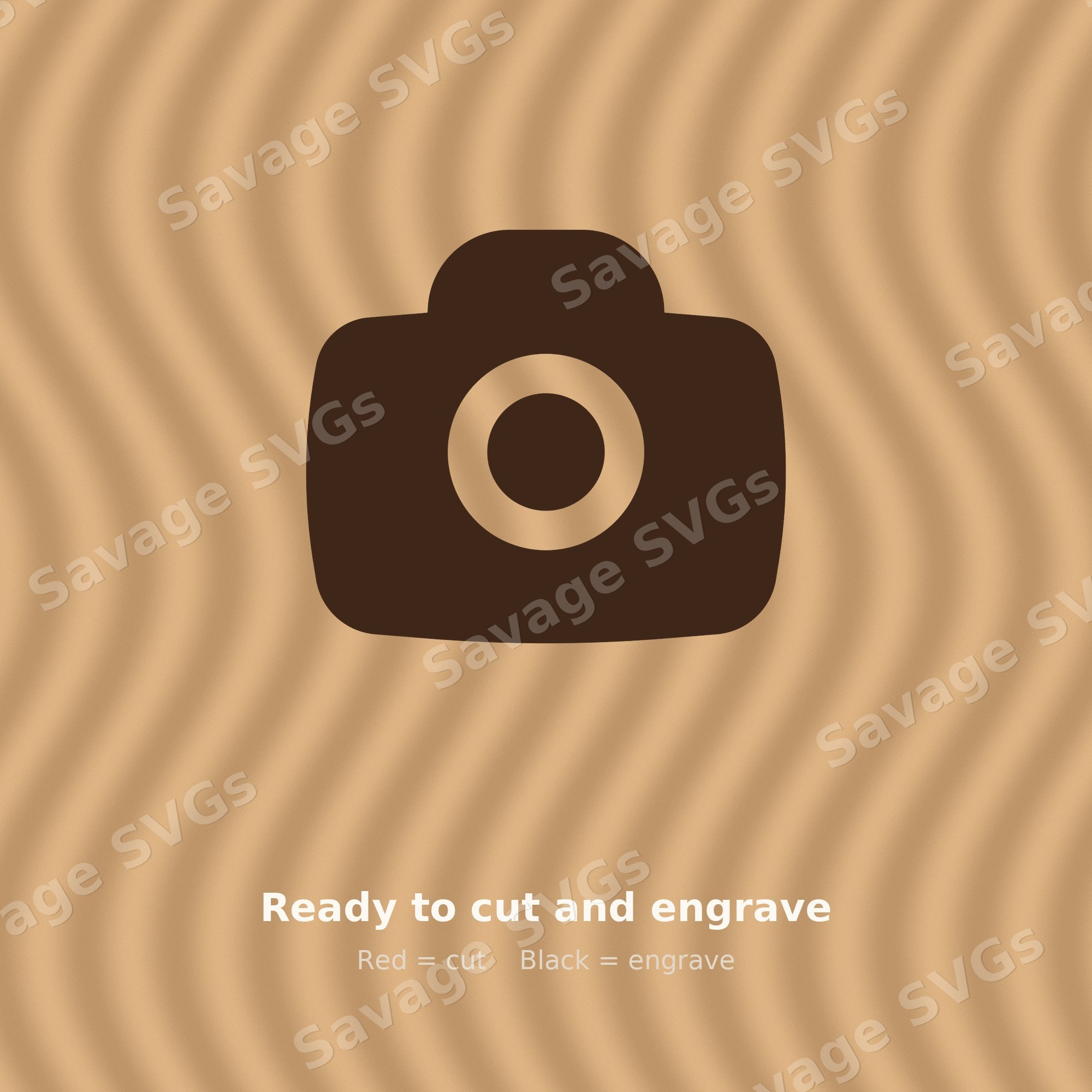 Camera Icon