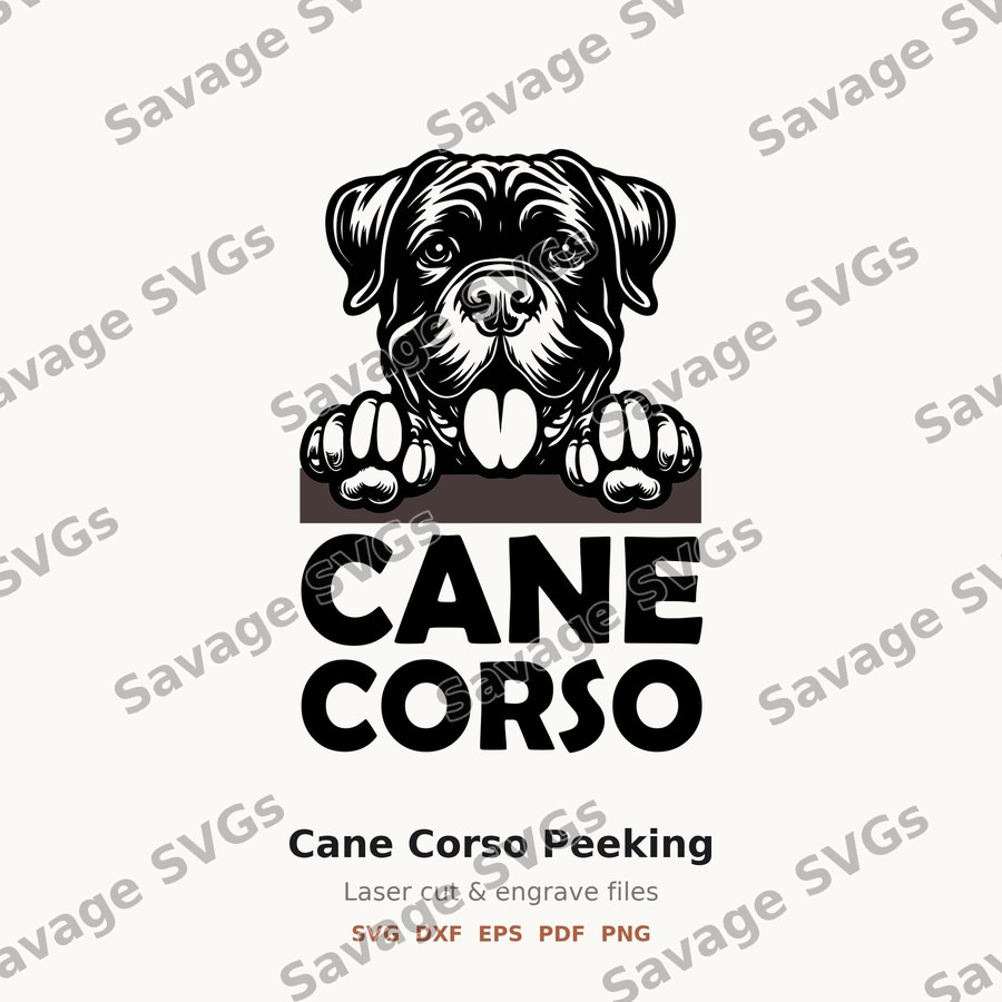Cane Corso Peeking