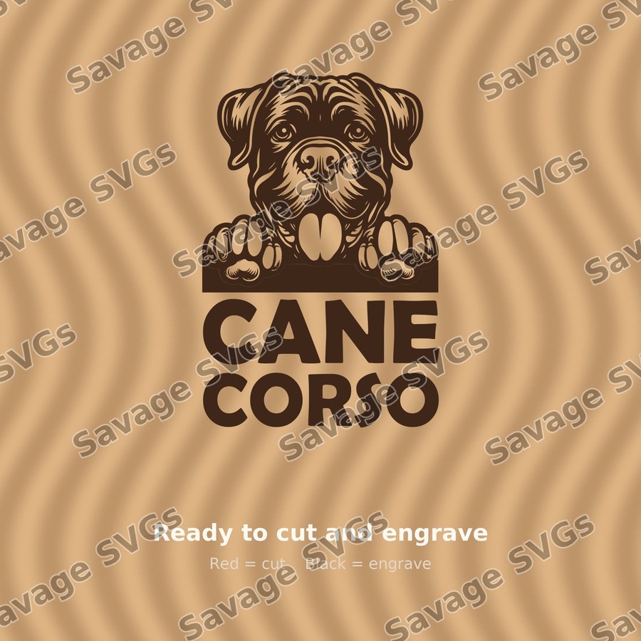 Cane Corso Peeking