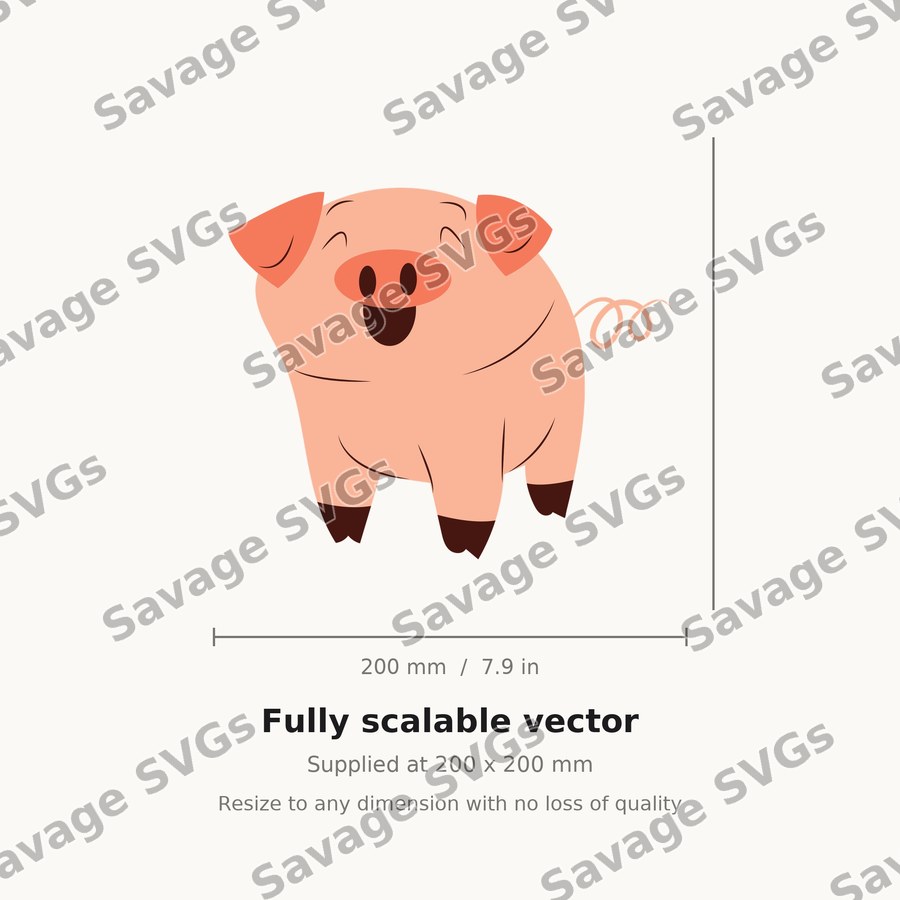 Cartoon Pig