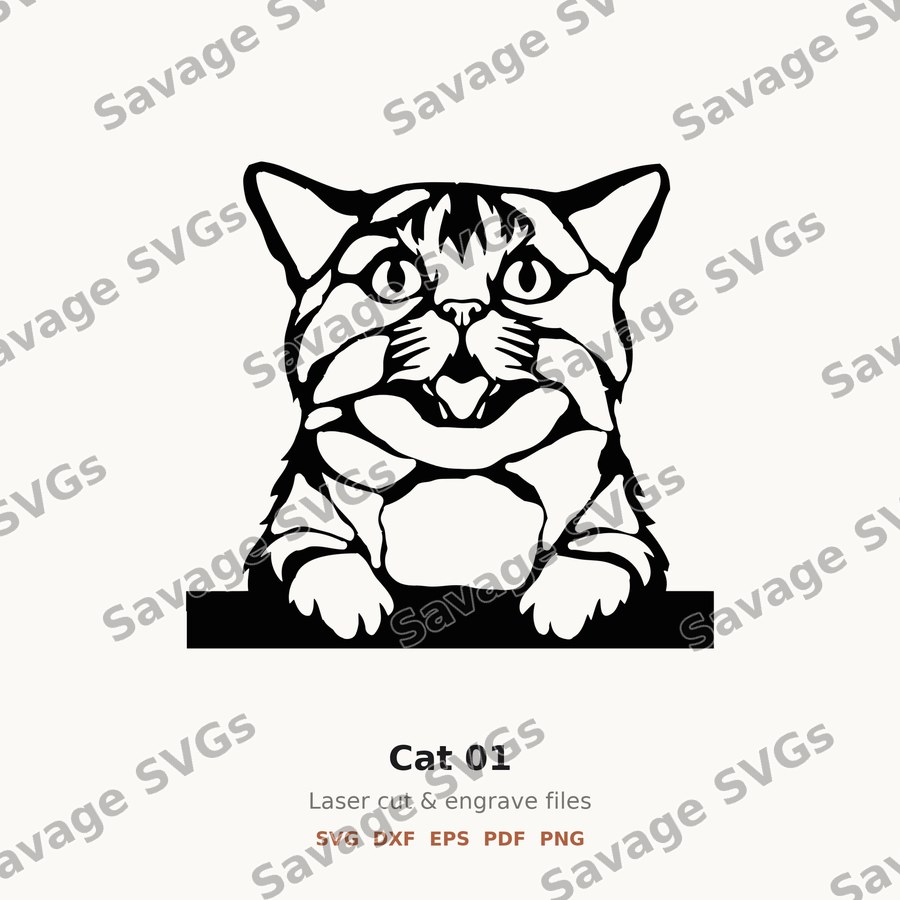 Cat 01