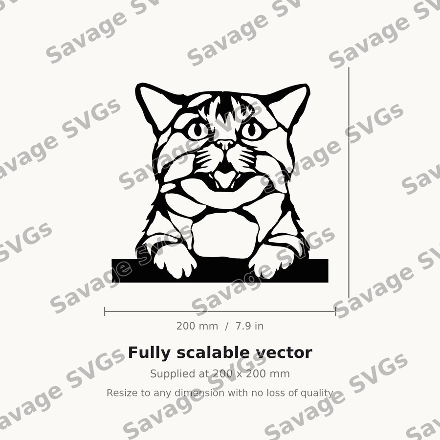 Cat 01