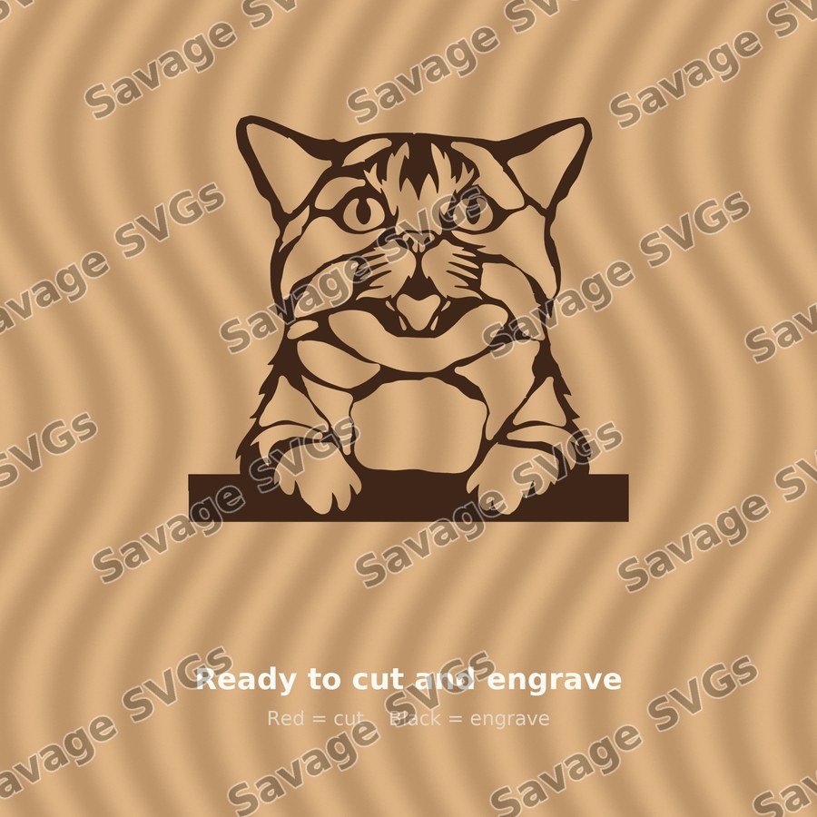 Cat 01