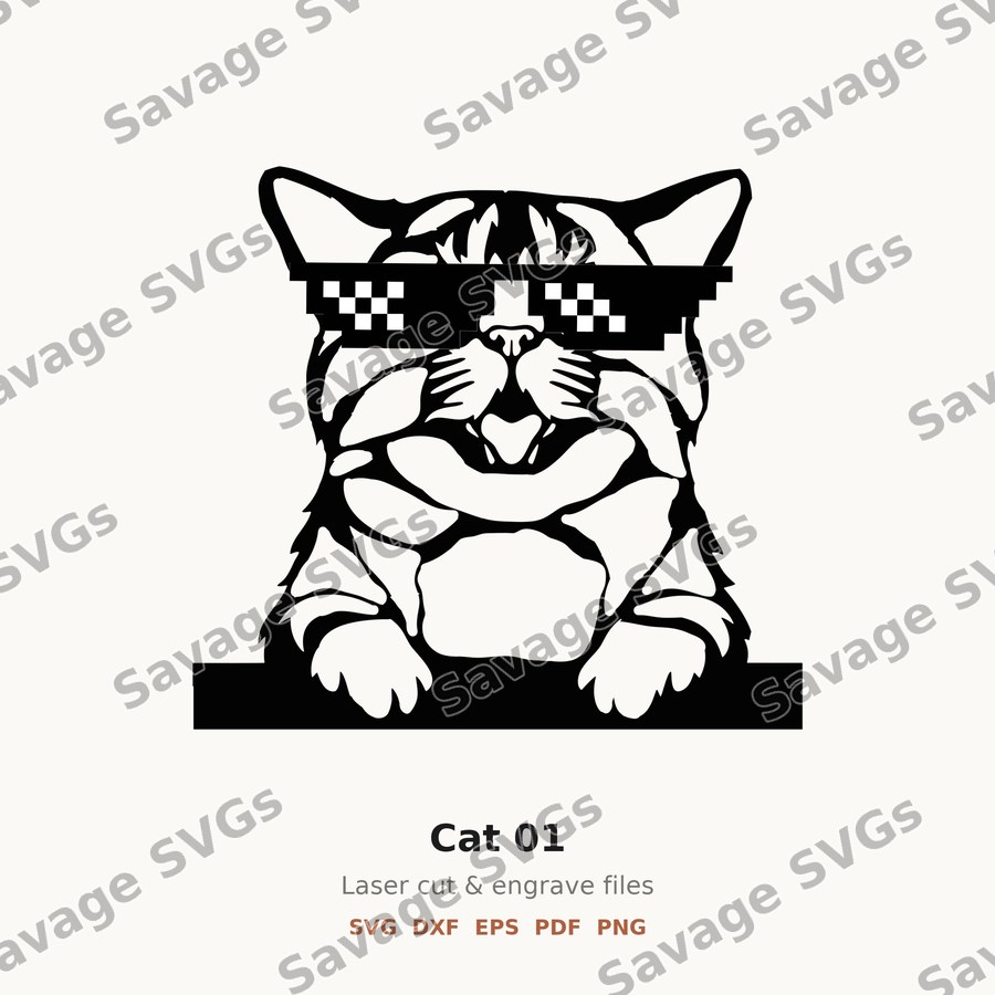 Cat 01