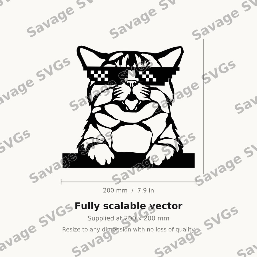 Cat 01